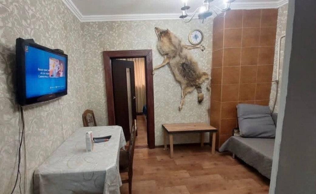 Девушка искала обычное жилье а Пятигорске, но нашла настоящий алмаз фэншуя — квартиру с огромным сплющенным волком