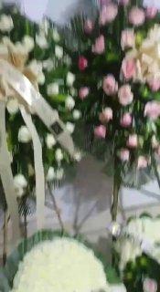 В Колумбии беременную девушку связали и зарезали: ребёнка вырезали из утробы и похитили