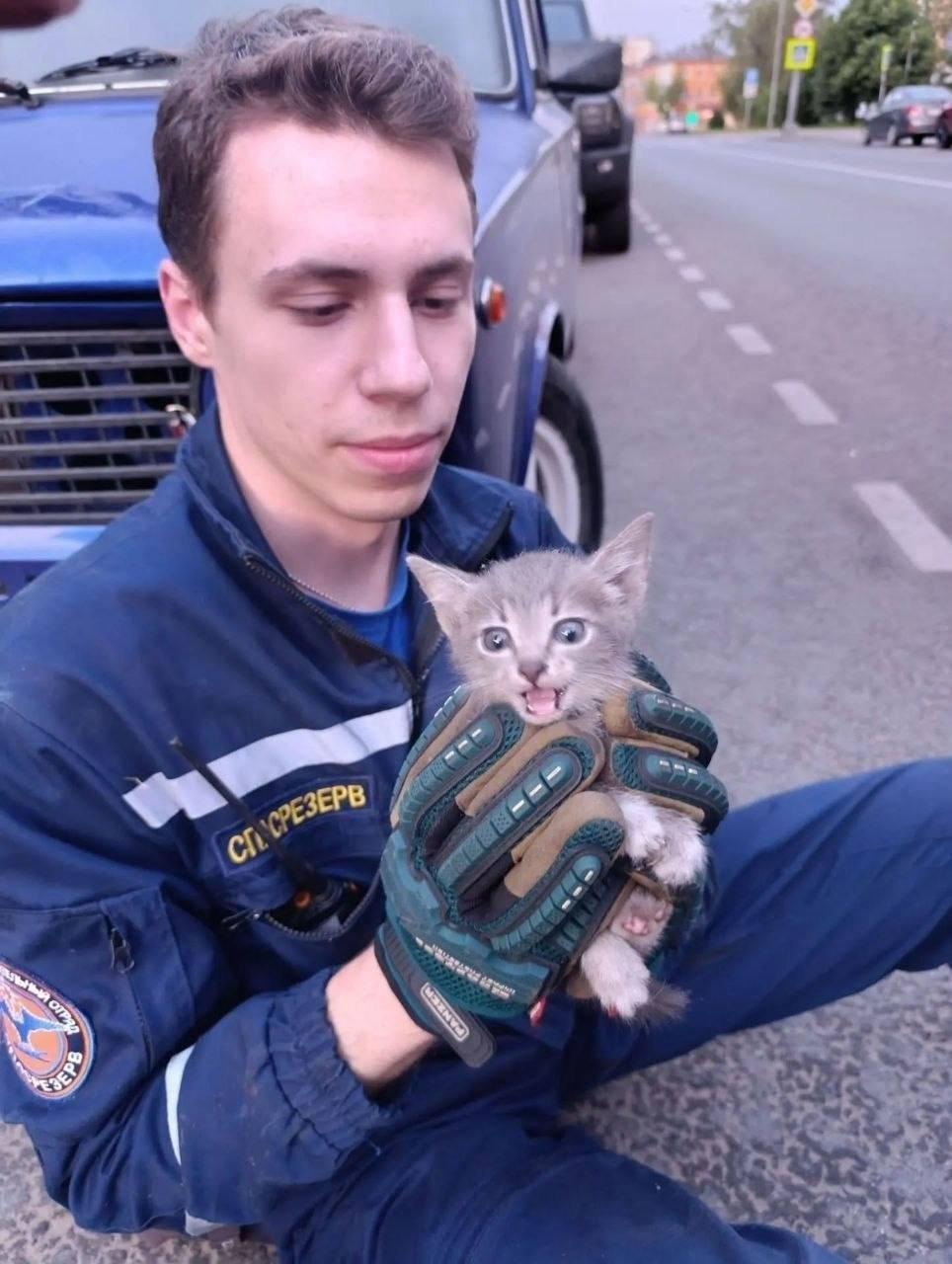 В Лефортово спасли котёнка, который два дня просидел под капотом «Жигулей» и не переставал мяукать.