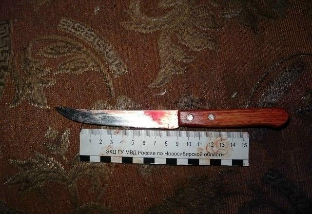 Жительница Новосибирска ранила бывшего мужа ножом Тогучинский районный суд...