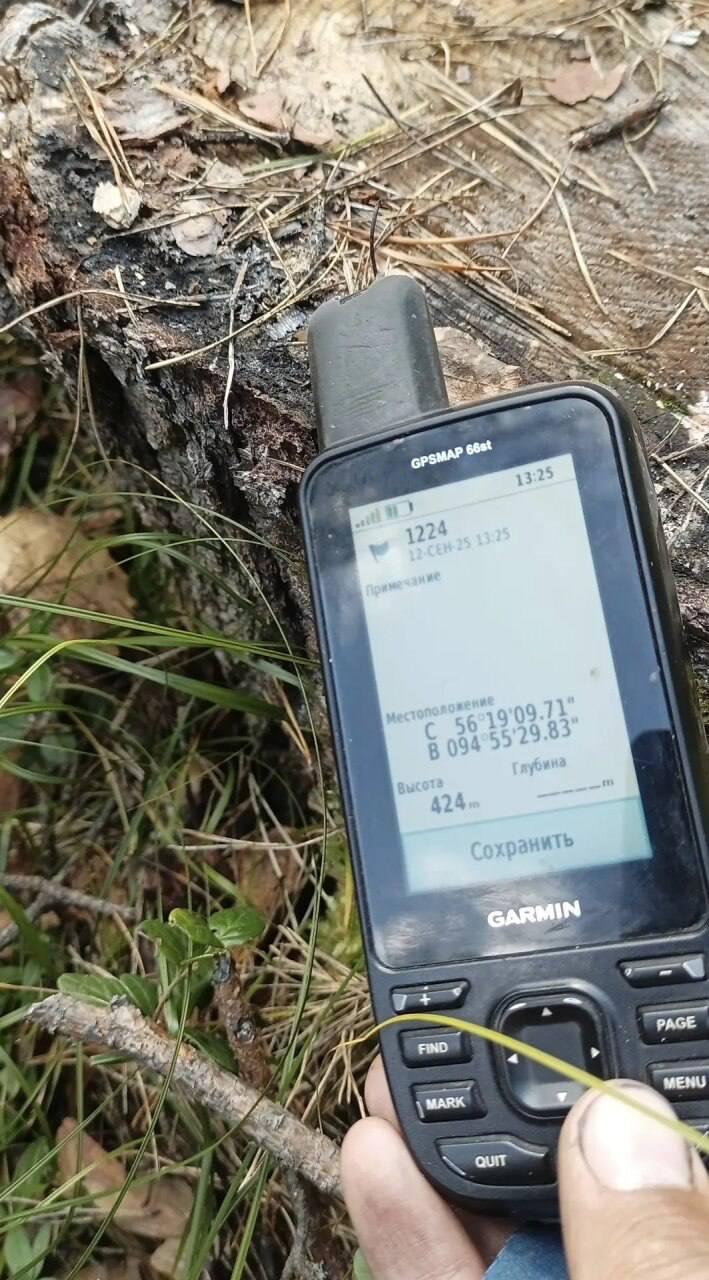 В Канске мастер лесозаготовок предстанет перед судом за незаконную рубку на...