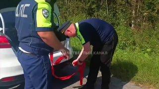 «Из-под капота пошел дым»: инспекторы спасли женщину с ребенком на дороге