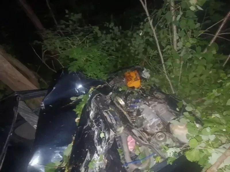В Енисейском МО молодой водитель насмерть сбил 3 коров и едва не угробил...