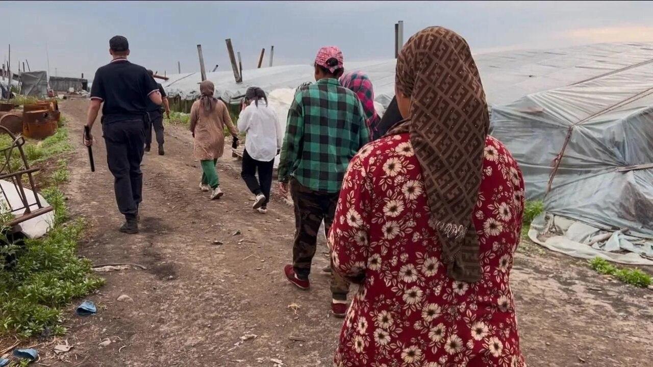 В Красноярском крае выявили 179 нарушений миграционного законодательства С 14...