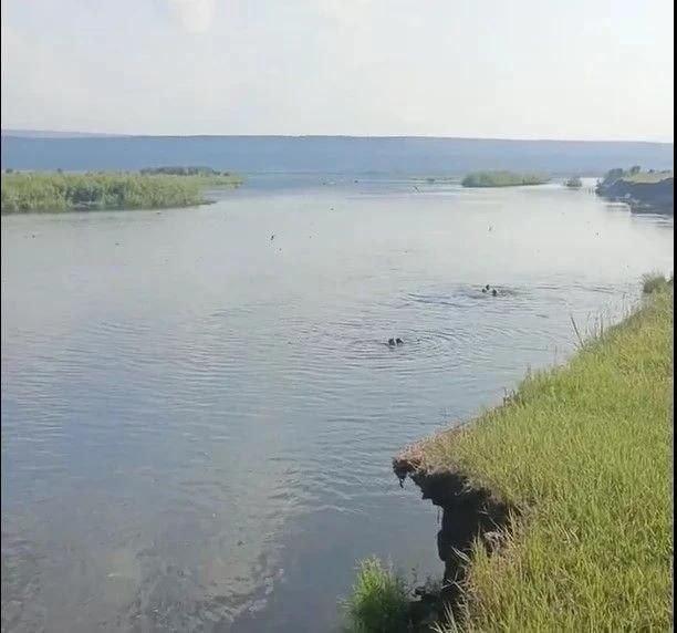 Пожарный в Сибири вместе с очевидцами спас тонущих мужчину и женщину На реке...