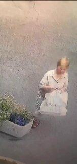 В Котельниках местная жительница присмотрела себе цветы из клумбы и пришла...