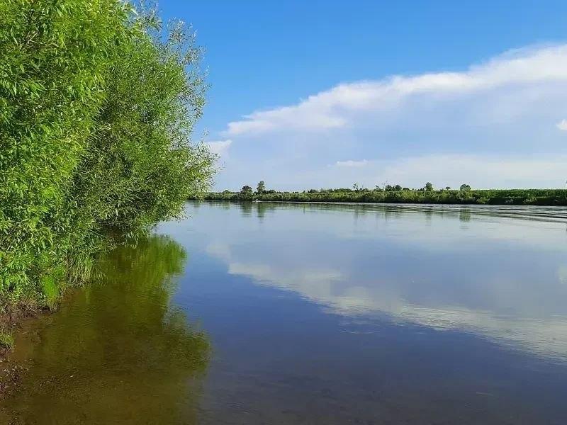 В Норильске утонул плывущий наперегонки с подругой 16-летний подросток...