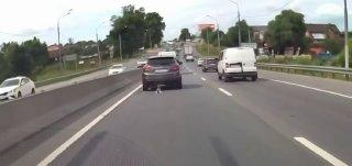 В подмосковной деревне Дурыкино котёнок выбежал на проезжую часть и оказался...