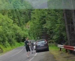 В Румынии турист залип в телефон и не заметил медведя.