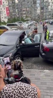 Девушка разбила шесть автомобилей, выезжая с парковки на Спориивной, 31/1. По...