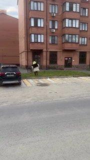 Во Владикавказе осёл убежал от Шрека. В сети завирусилось видео с аниматором в костюме ростовой куклы, гонящимся за упрямым животным.