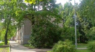 Памятник подводникам в Кронштадте получит новую подсветку