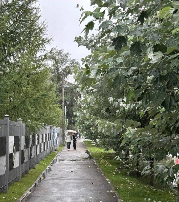 Красноярский край накроют ливни, грозы и штормовой ветер — при этом...