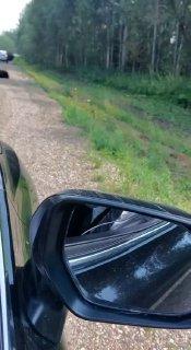 Медведь устроил привал прямо у трассы в Красноярском крае Необычного...