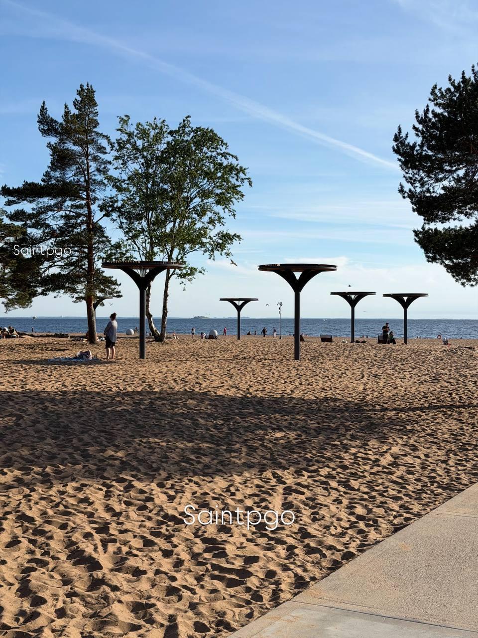 Уже в ближайшие дни вода в Финском заливе прогреется до +20 °C. По прогнозу...