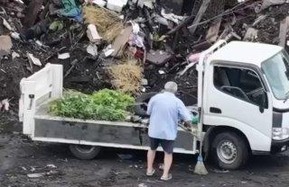 Свалки нашли с воздуха: в Иланско-Нижнеингашском округе возбудили...