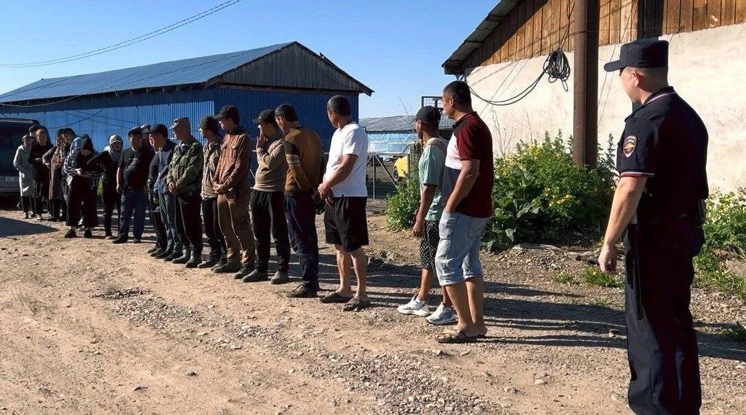 В Красноярском крае иностранцам запретили работать в музеях, библиотеках и...