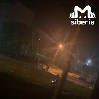 Мужчину жестоко избили посреди улицы в Искитиме. Это случилось ночью в...