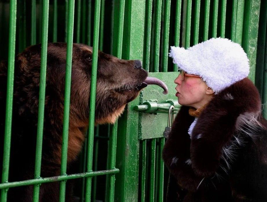 В Уссурийске медведь откусил руку известной зоозащитнице, которая ранее уже потеряла ногу и пальцы из-за другого хищника