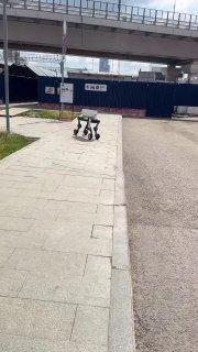 В Москве начали тестировать новых роботов-доставщиков, которые внешне напоминают робопсов, но передвигаются на колесах.