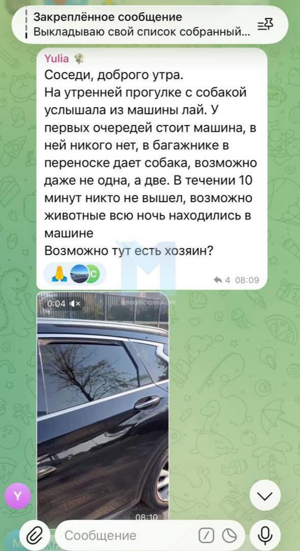 Шесть клеток со щенками обнаружили в припаркованной машине жители ЖК...