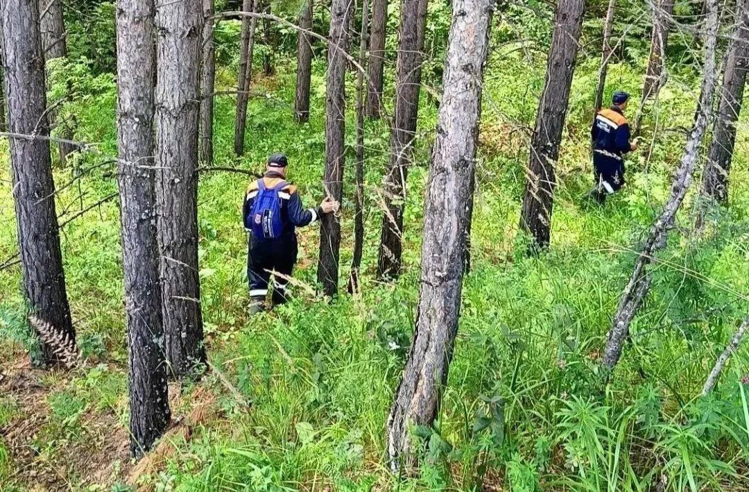 За сутки под Красноярском спасли двух заблудившихся в лесу женщин. Сначала...