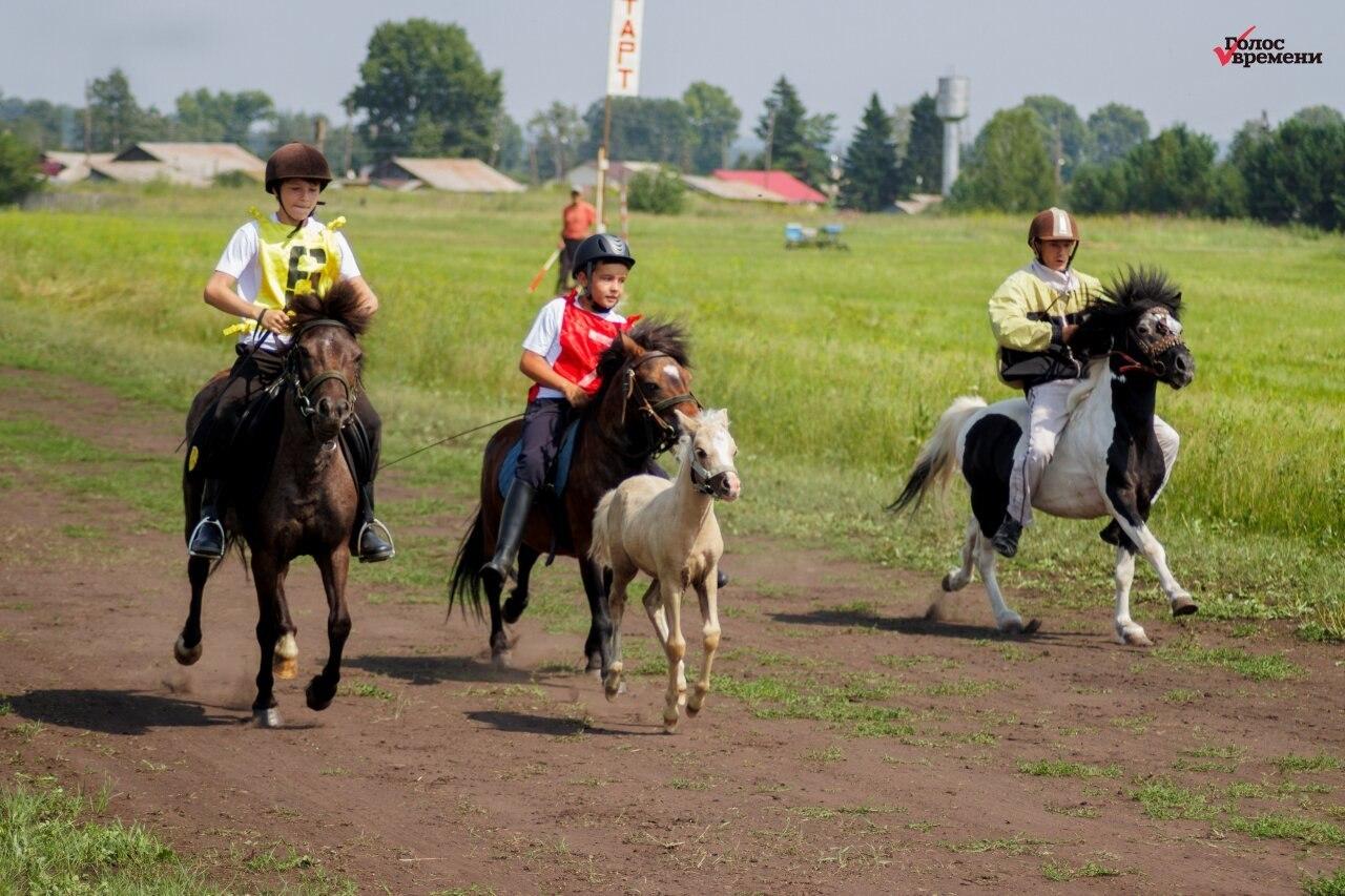 В минувшие выходные в селе Новая Солянка состоялись конноспортивные...