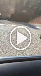 На трассе Кызыл-Абакан на дорогу к людям вышел медвежонок. Проезжающие машины останавливались и кормили животного.
