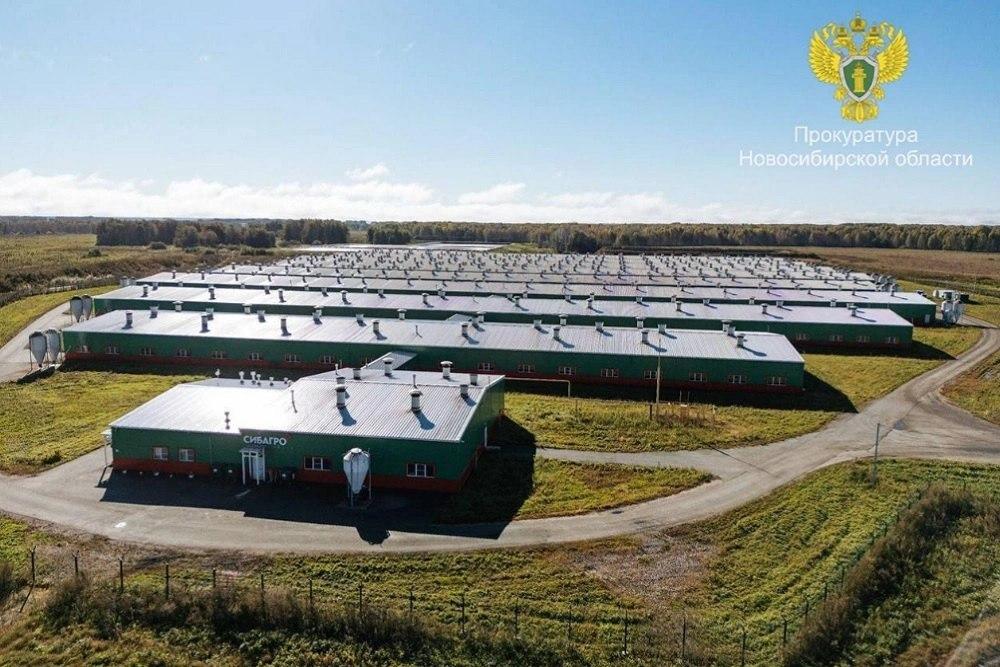 Предприятие в Новосибирской области выплатило 2,3 млрд рублей за...