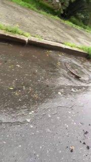 В Каменске-Уральском назначена проверка по факту бездействия полиции при поиске пропавшего мужчины