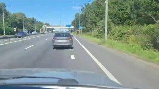 Лось хотел перебежать Ленинградское шоссе, но врезался в фуру.
