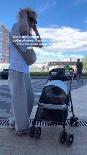 Петербурженку с собакой-инвалидом в коляске не пустили в метро. Девушка...