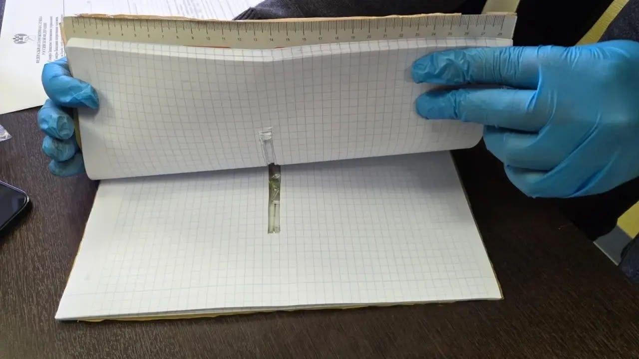 Контрабандист спрятал драгоценности на 3,4 млн рублей в тетрадях. Пулковская...
