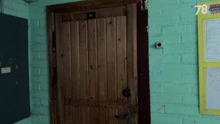 В Мурино кошка больше 10 дней заперта одна в захламлённой квартире после...