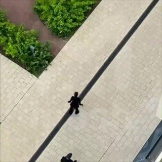Девушка-квадробер в костюме кошки устроила необычное представление в ЖК Фрунзенского района.