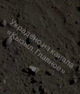 В Каа-Хеме началось нашествие шелкопрядов. 🌇 ЧП Тыва | Кызыл | Новости