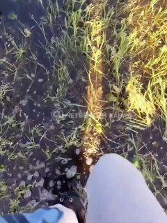 «Было картофельное поле — сейчас озеро»: посёлок Полеводство под Екатеринбургом затопило после массовой застройки без ливнёвок
