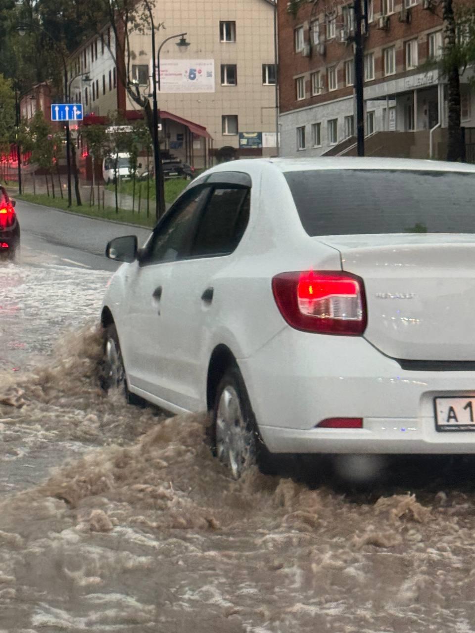 Ребенок и взрослый погибли во время урагана в Смоленской области.