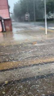 Ребенок и взрослый погибли во время урагана в Смоленской области.