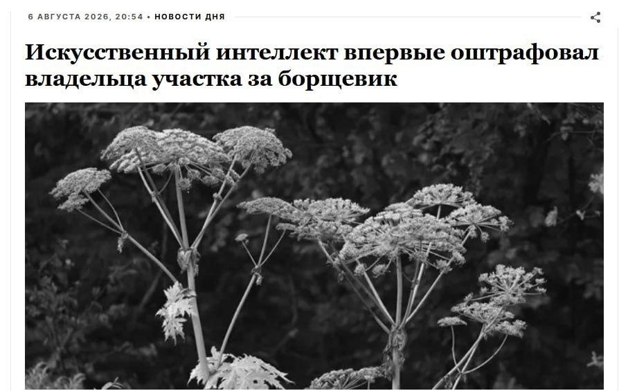Первый штраф за борщевик с участием ИИ выписали в России