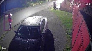Медведь пытался напасть на мужчину в селе Белый Яр Ачинского округа Косолапый...