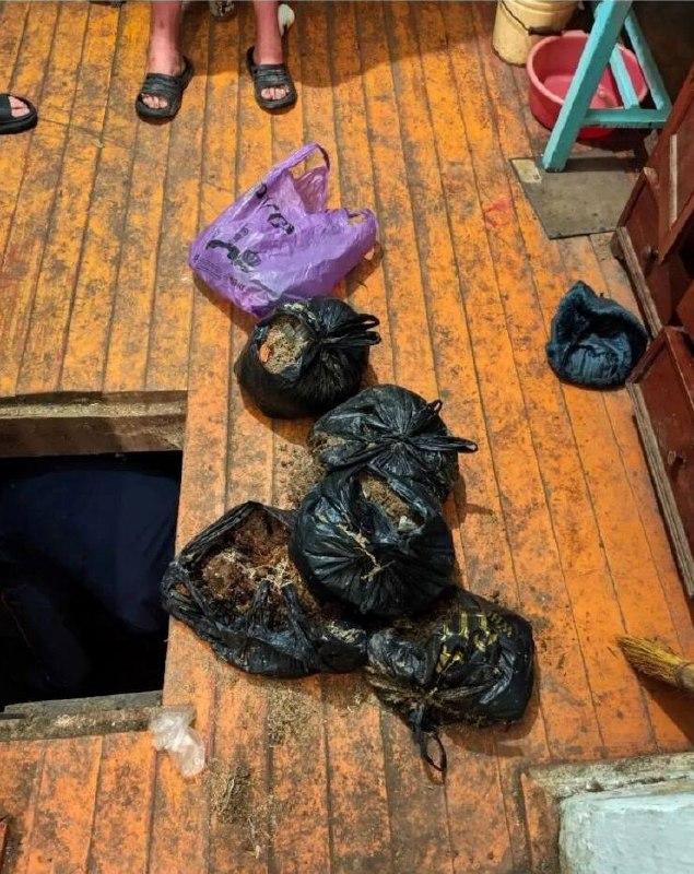 В Канском округе у жителя села изъяли 4,5 кг марихуаны Полицейские задержали...