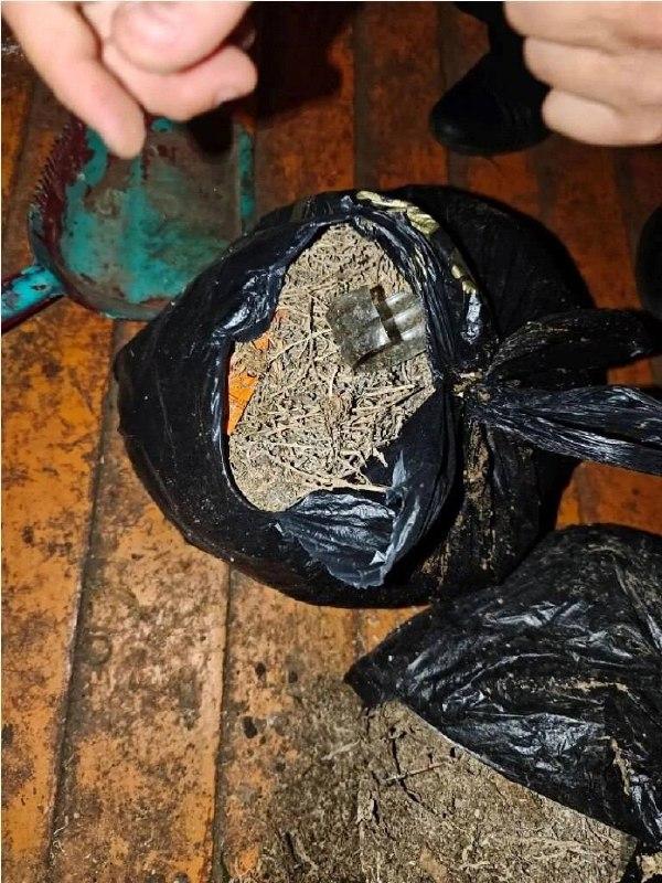 В Канском округе у жителя села изъяли 4,5 кг марихуаны Полицейские задержали...