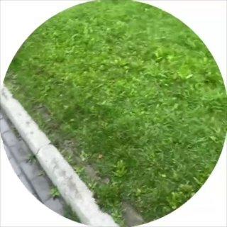 В Национальном парке им. Гастелло до сих пор не заменили эти «убогие»...