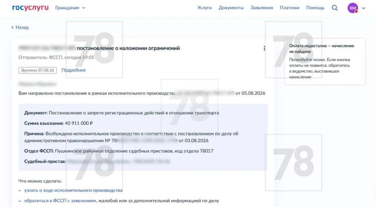 40 миллионов рублей штрафа выписали петербурженке за неоплаченную парковку.