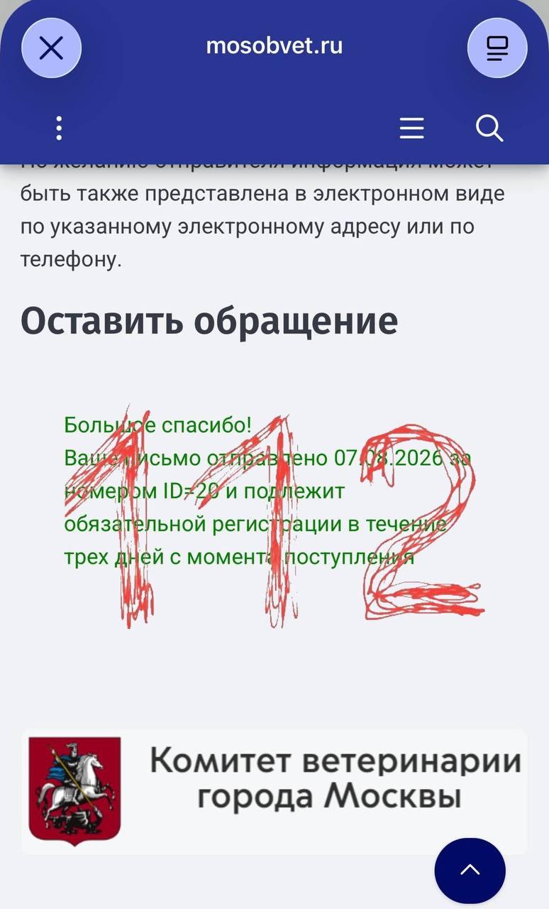 Экс-сотрудники капибара-кафе заявили о жестоком обращении с животными. Полина...
