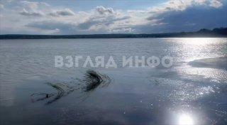 Массовая гибель рыбы произошла на озере Тагарское в Красноярском крае....