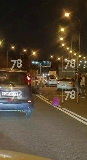 Лось попал под машину у КАД на Шафировском