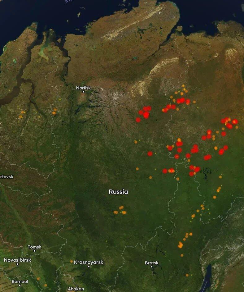 Лесные пожары в Сибири показали из космоса Дымовые шлейфы от масштабных...