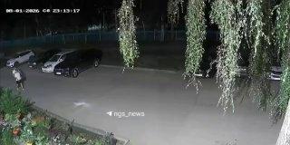 Новосибирец вырвал гортензию с клумбы ради спутницы